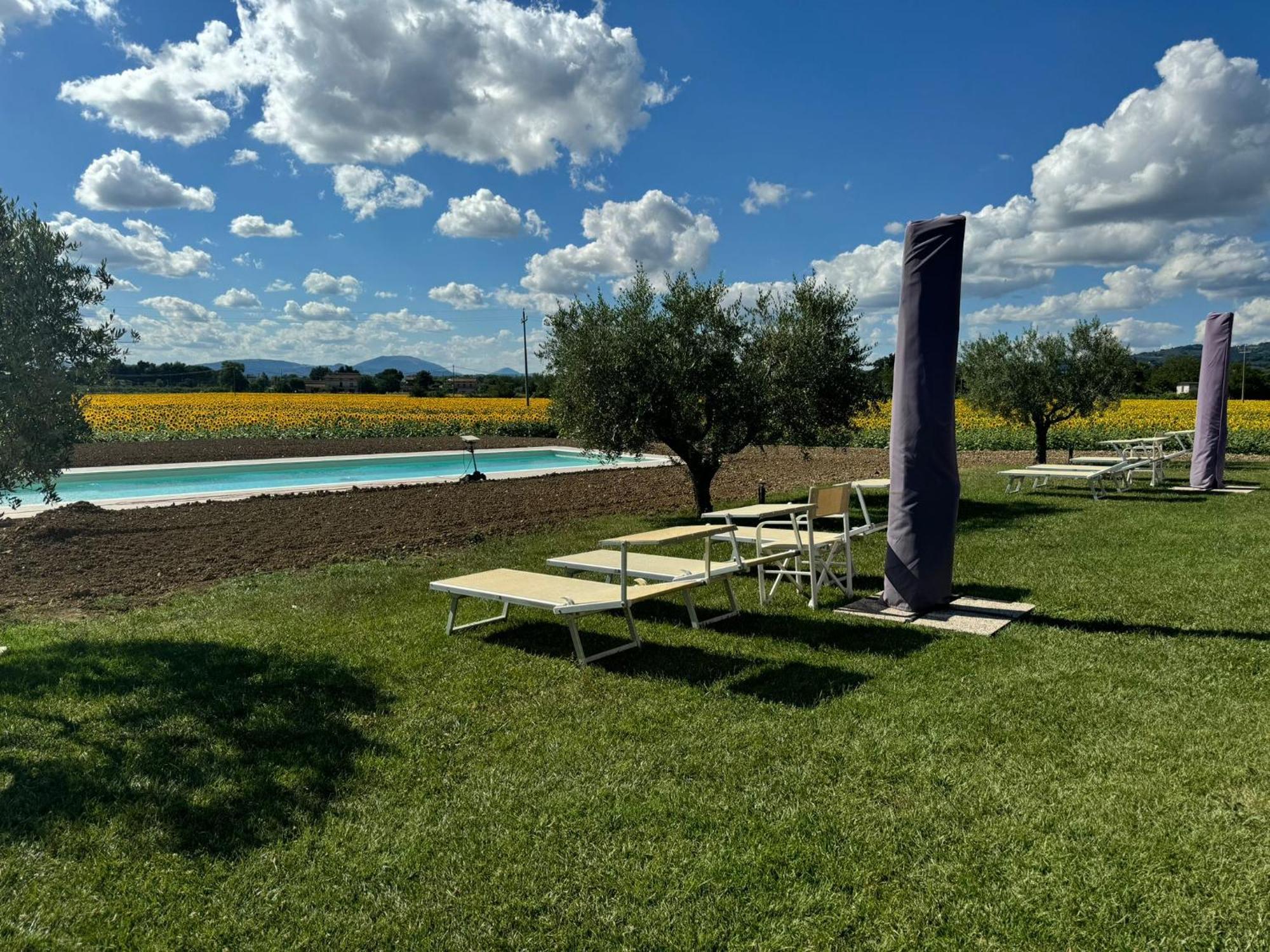 Assisium Agriturismo المظهر الخارجي الصورة