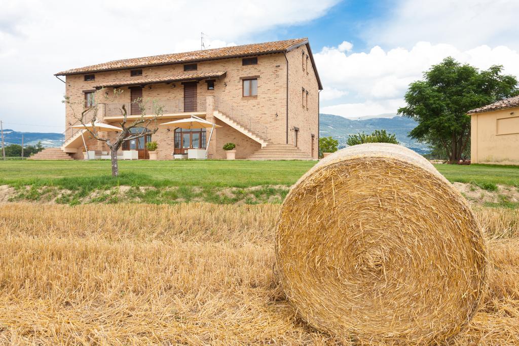 Assisium Agriturismo المظهر الخارجي الصورة
