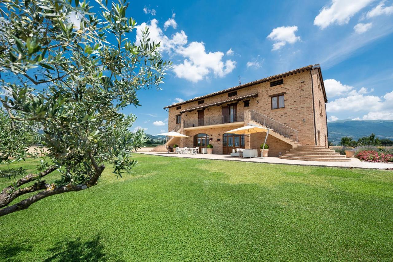 Assisium Agriturismo المظهر الخارجي الصورة